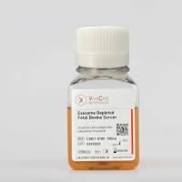 去外泌体血清(Exosome depleted Fetal Bovine Serum)