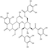 新诃黎勒鞣花酸甲酯1236310-34-1