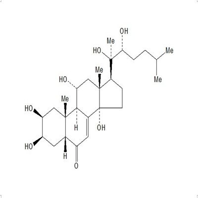 筋骨草甾酮C23044-80-6