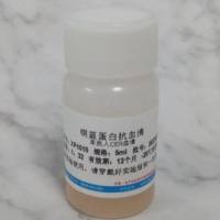 铜蓝蛋白(铜氧化酶)抗血清