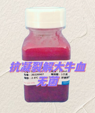 裂解大牛血（EDTA抗凝）
