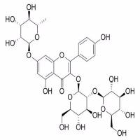 山柰酚-3-槐二糖-7-鼠李糖苷93098-79-4