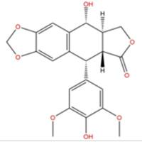 4'-去甲基鬼臼毒素40505-27-9