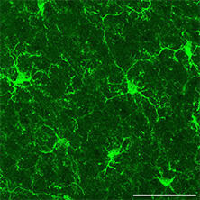 2517113574889403.png 图片2.png