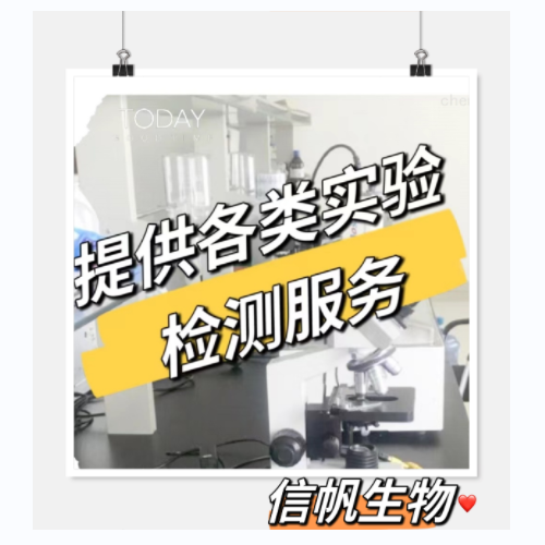 尿酸（UA）实验检测的保存方法