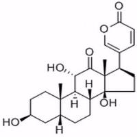 沙蟾毒精464-74-4
