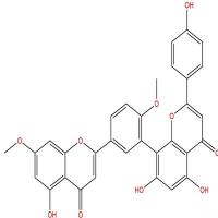 白果双黄酮481-46-9