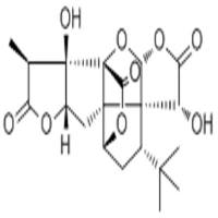 银杏内酯A15291-75-5