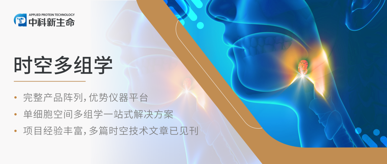 Immunity | 单细胞空间多组学绘制人类扁桃体细胞图谱