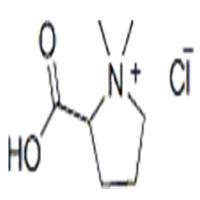 盐酸水苏碱4136-37-2