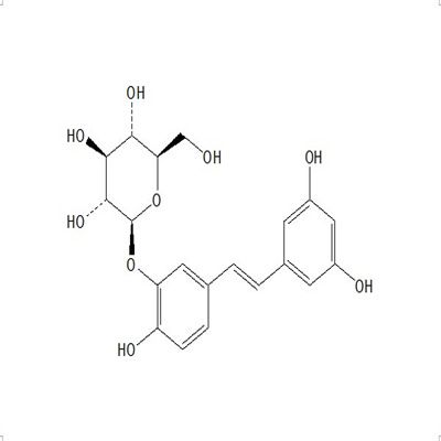 白皮杉醇-3'-O-葡萄糖苷94356-26-0