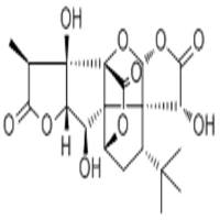 银杏内酯B15291-77-7