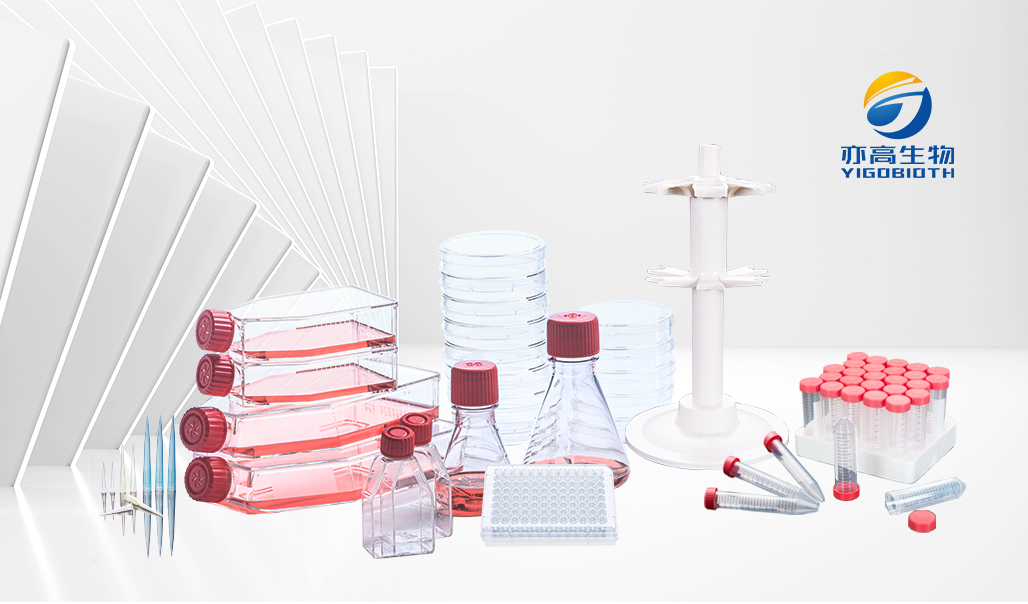 5ml尖底离心管/连盖离心管 蓝色 无菌无酶