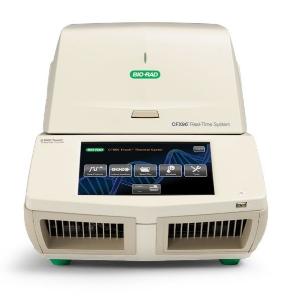 Bio-Rad CFX96 PCR仪