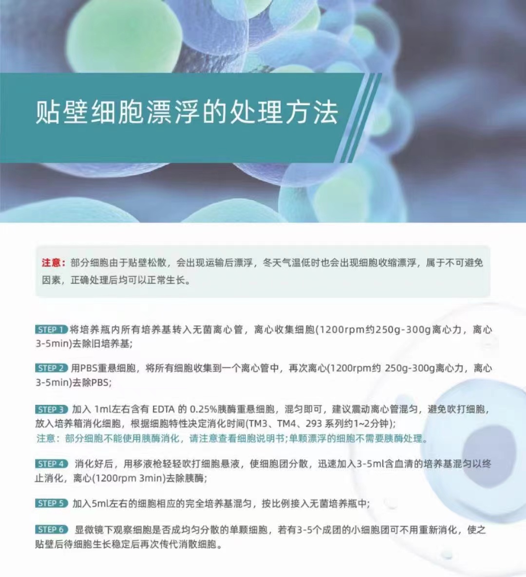 小鼠（Mouse）免疫球蛋白G3（IgG3）ELISA检测试