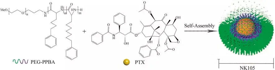 MPEG-PLA聚合物胶束包裹疏水性药物紫杉醇
