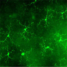 2617114210616103.png 图片17.png