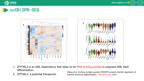 【直播回顾】CRISPR文库筛选x单细胞测序的结合应用