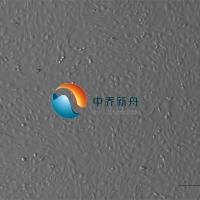 小鼠结肠黏膜上皮细胞