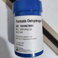 Roche货号10244678001甲酸脱氢酶13611631389上海睿安生物