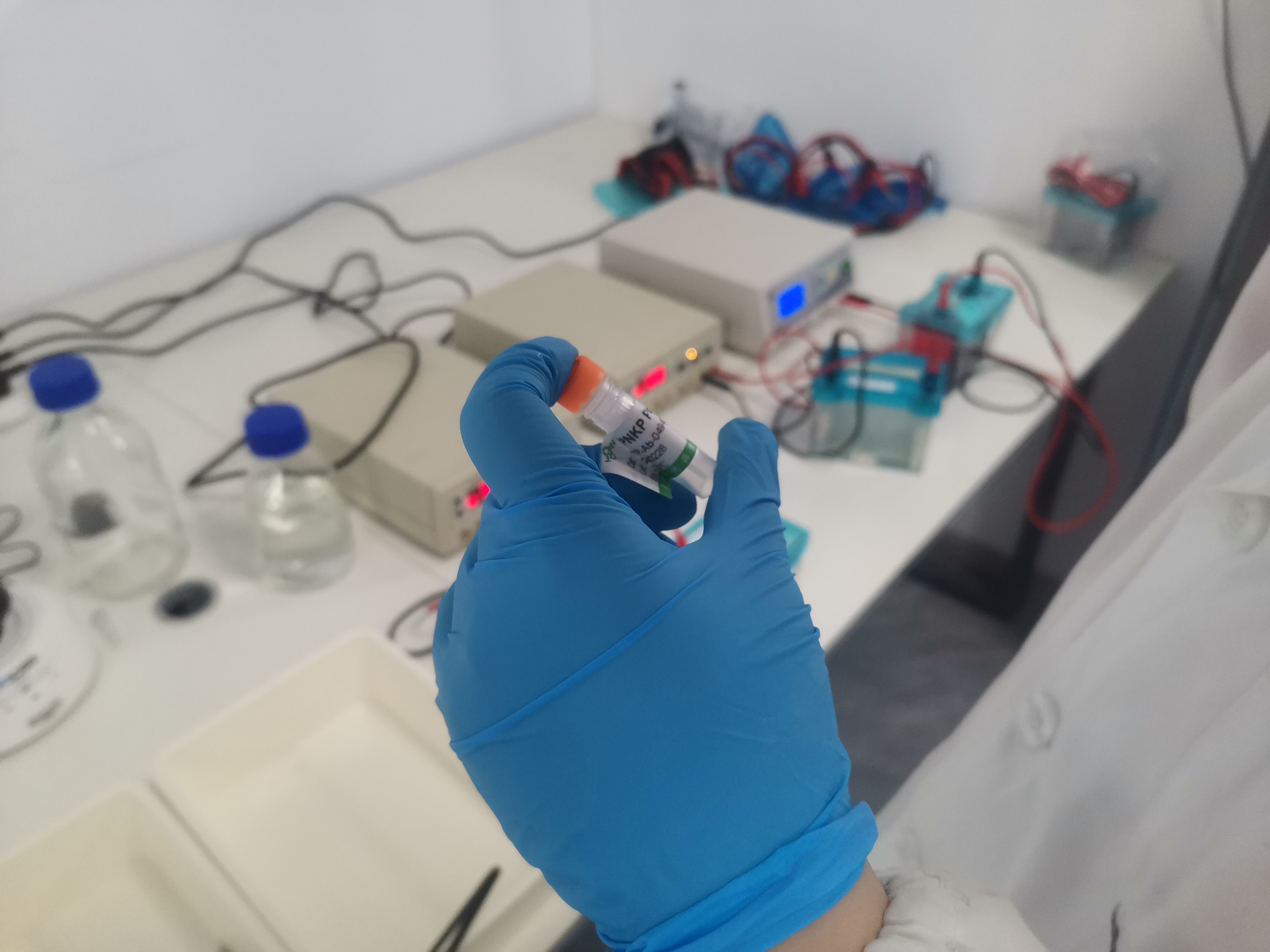 科研旋风:10ul抗体的优势