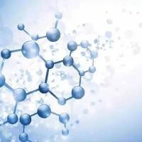 多糖核磁扫描分析