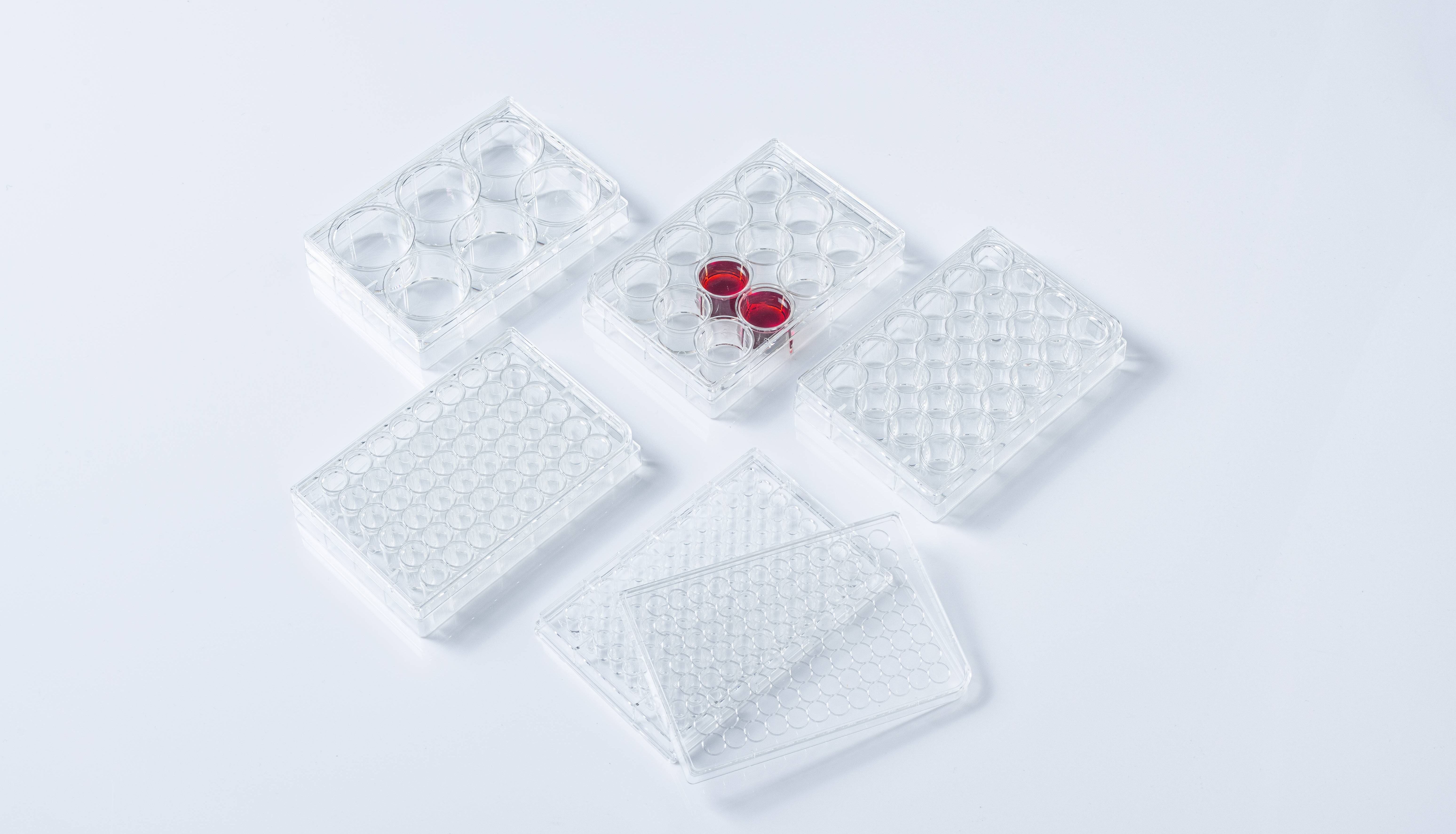 挑板儿指南：选细胞培养板就是要让细胞舒服得不想走