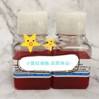 小鼠红细胞悬液(多种浓度)