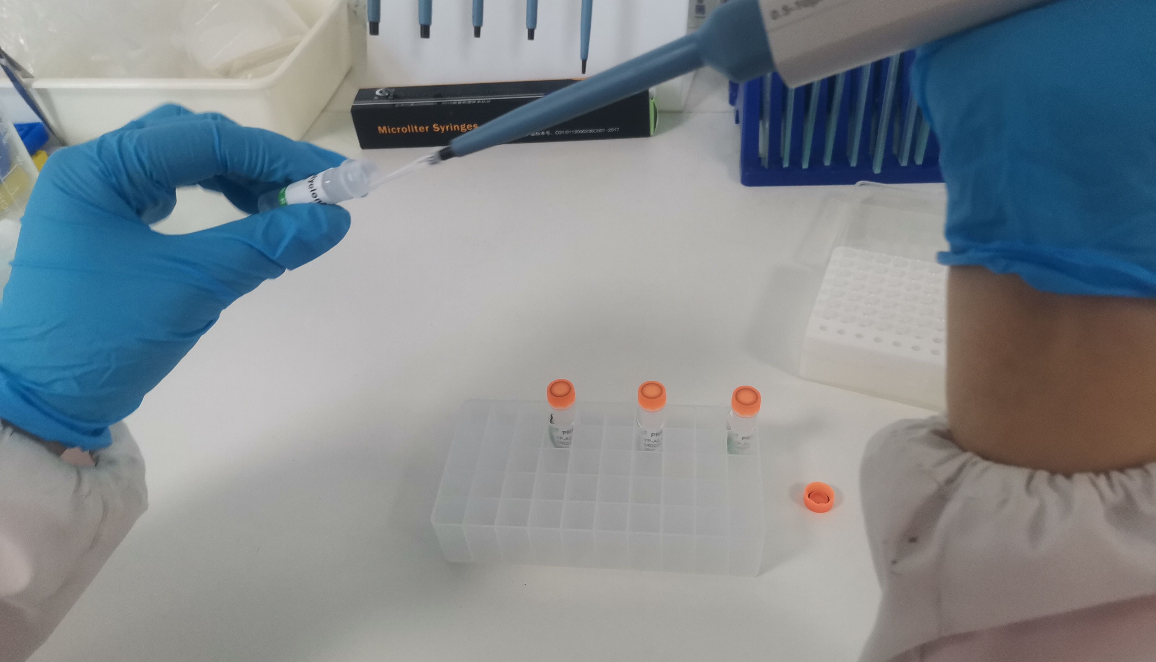 科研旋风：10ul抗体的优势