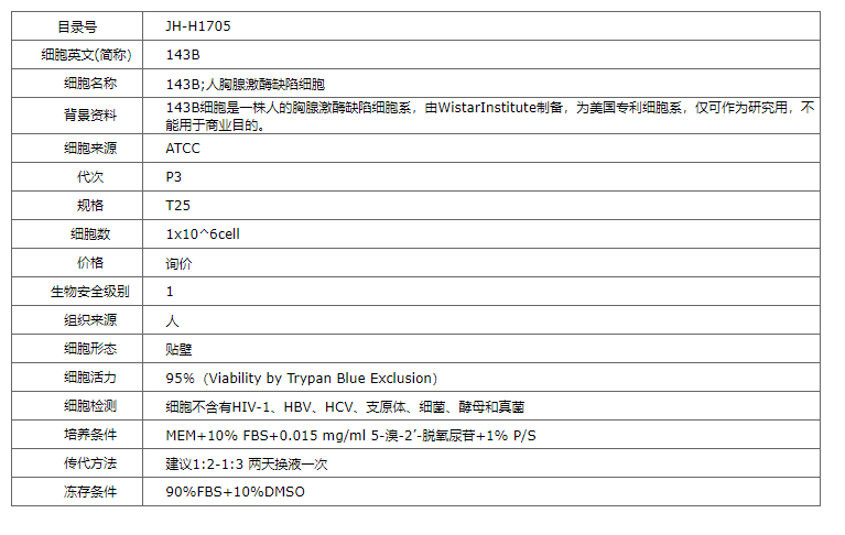 【STR鉴定】143B、143B细胞、143B胸腺激酶缺陷细
