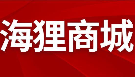  海狸商城正式启用，专营磁珠小包装，29元起