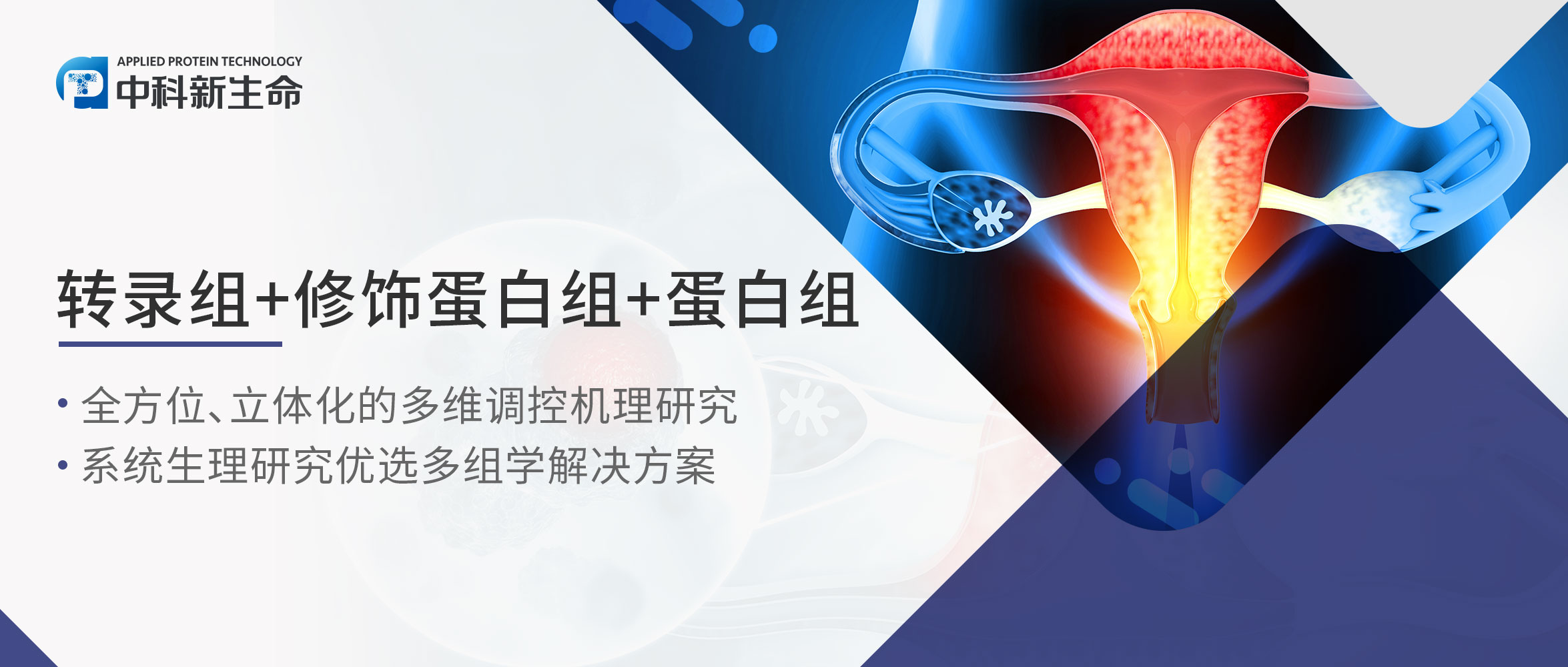 女性福音：临床队列多组学赋能卵巢癌精准治疗