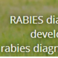 Rabies抗体检测试剂盒