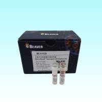 小鼠中性粒细胞分选试剂盒