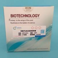 铁离子比色法检测试剂盒