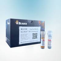 小鼠CD3+ T细胞磁珠法分选试剂盒（阴选法）