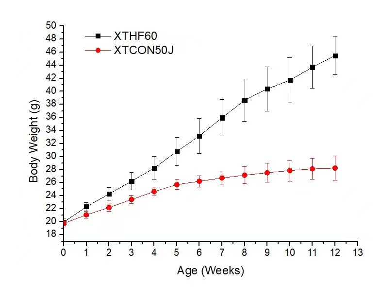 针对实验大小鼠，高效构建肥胖模型（DIO）