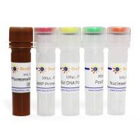 猫细小病毒(FPV)等温扩增荧光检测试剂盒