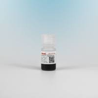 链霉亲和素磁珠(300nm)