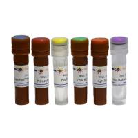 猫细小病毒(FPV)探针法qPCR检测试剂盒