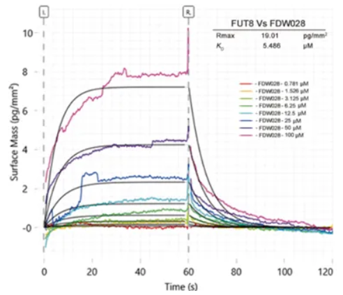 【热点应用】看GCI 技术如何攻克小分子药物实验难题