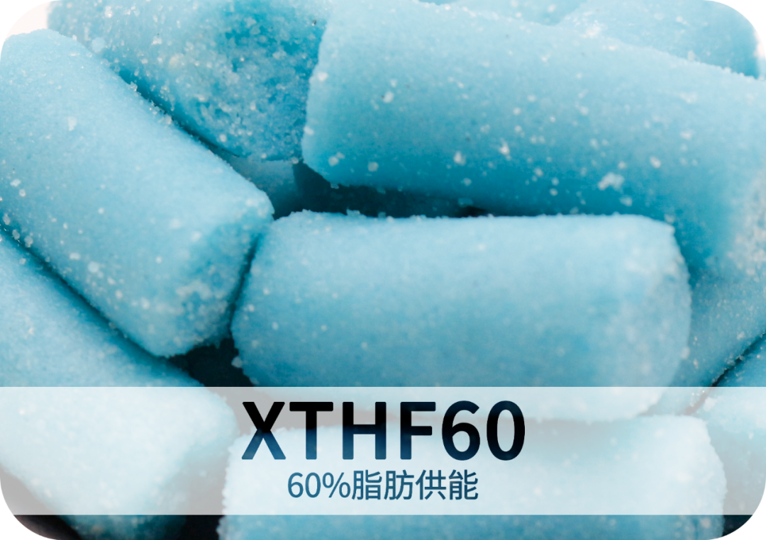 针对实验大小鼠，高效构建肥胖模型（DIO）