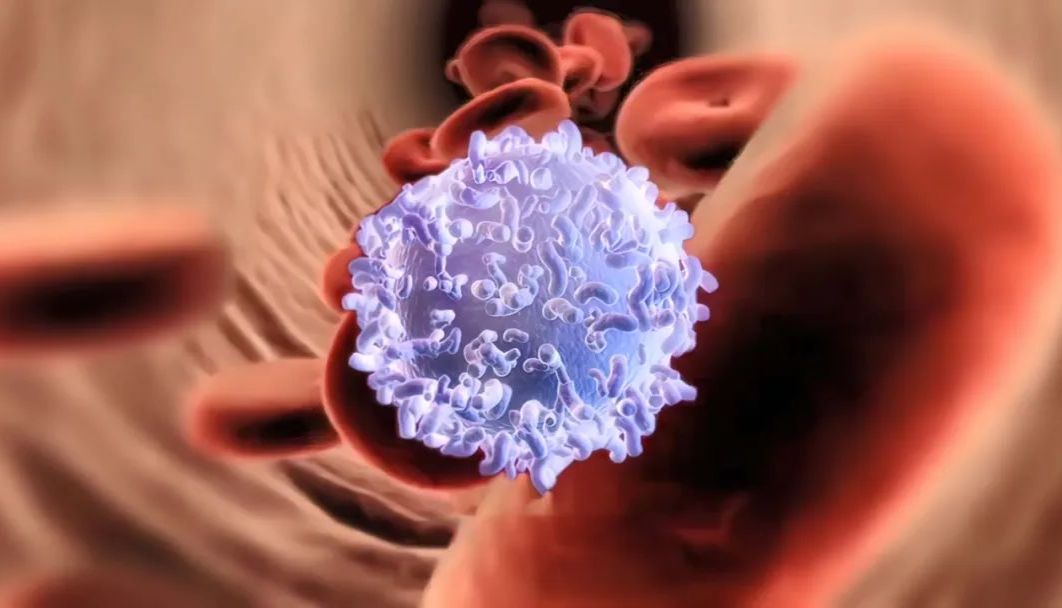 小鼠中性粒细胞分选试剂盒上市啦！