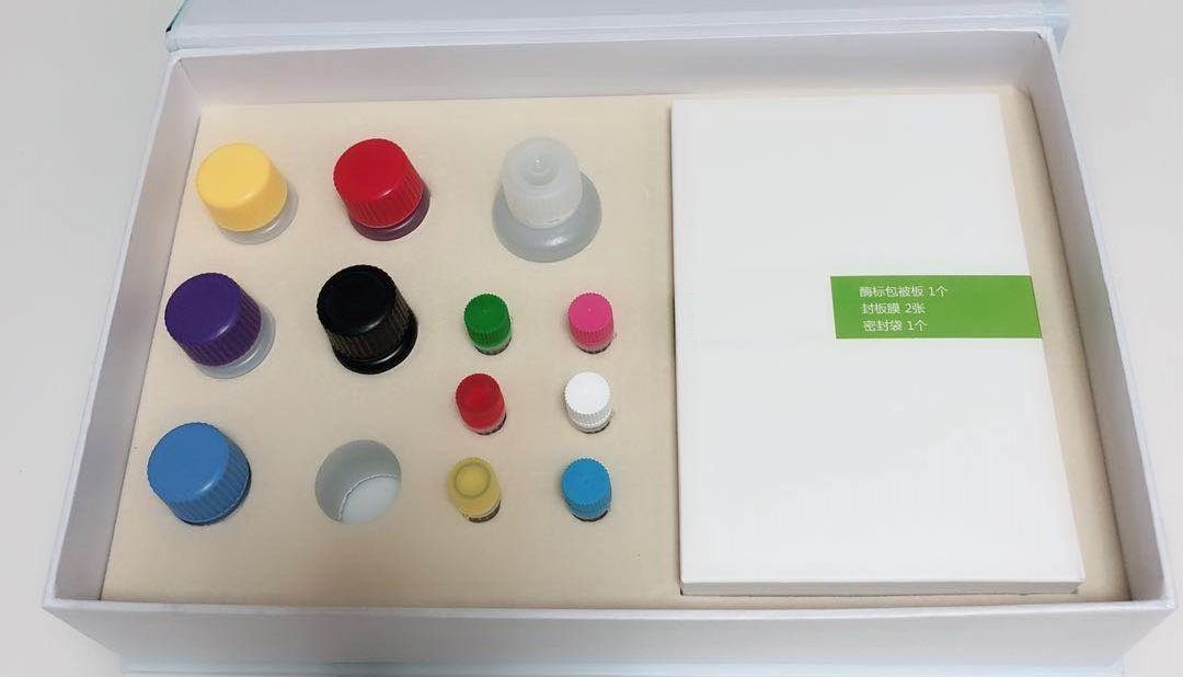 ELISA试剂盒核心原理——抗原与抗体的特异性结合