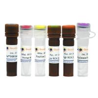 猫细小病毒(FPV)染料法qPCR检测试剂盒