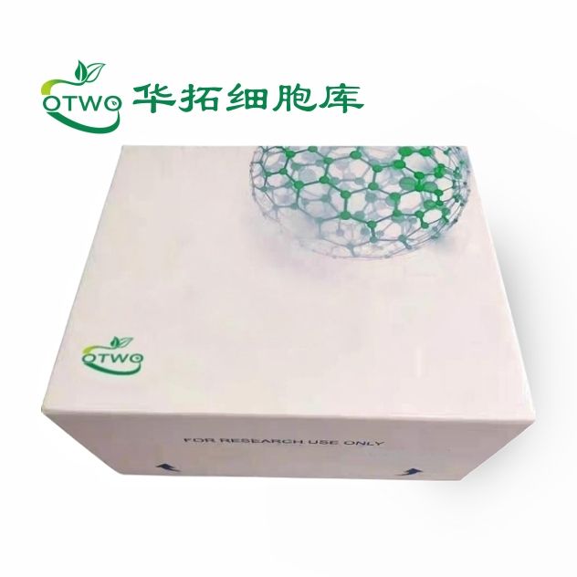 Farage人B淋巴瘤细胞|Farage细胞|人B淋巴瘤细胞