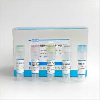 呼吸道合胞病毒染料法荧光定量RT-PCR试剂盒