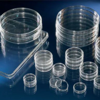 Nunc™ 细胞培养皿/皮氏培养皿