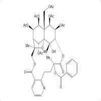 雷公藤宁碱A345954-00-9