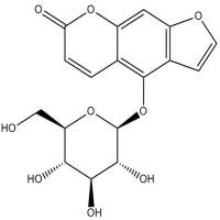 佛手酚葡萄糖苷131623-13-7